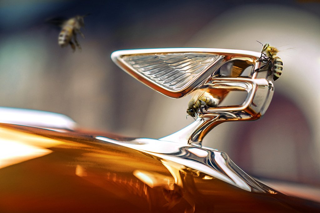 Gallery image 7