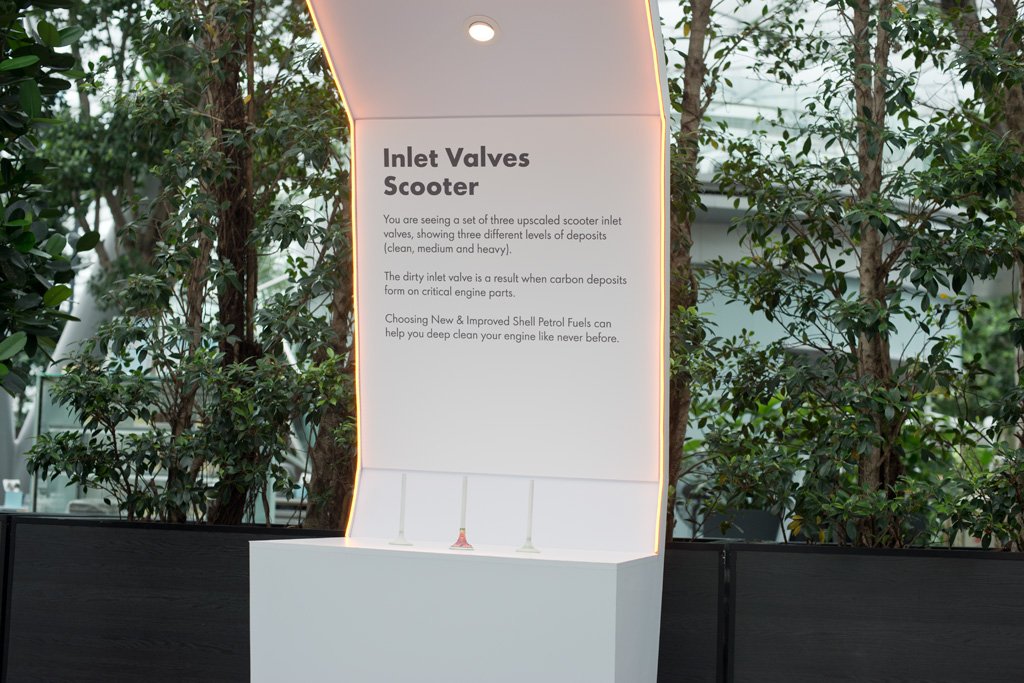 Gallery image 6