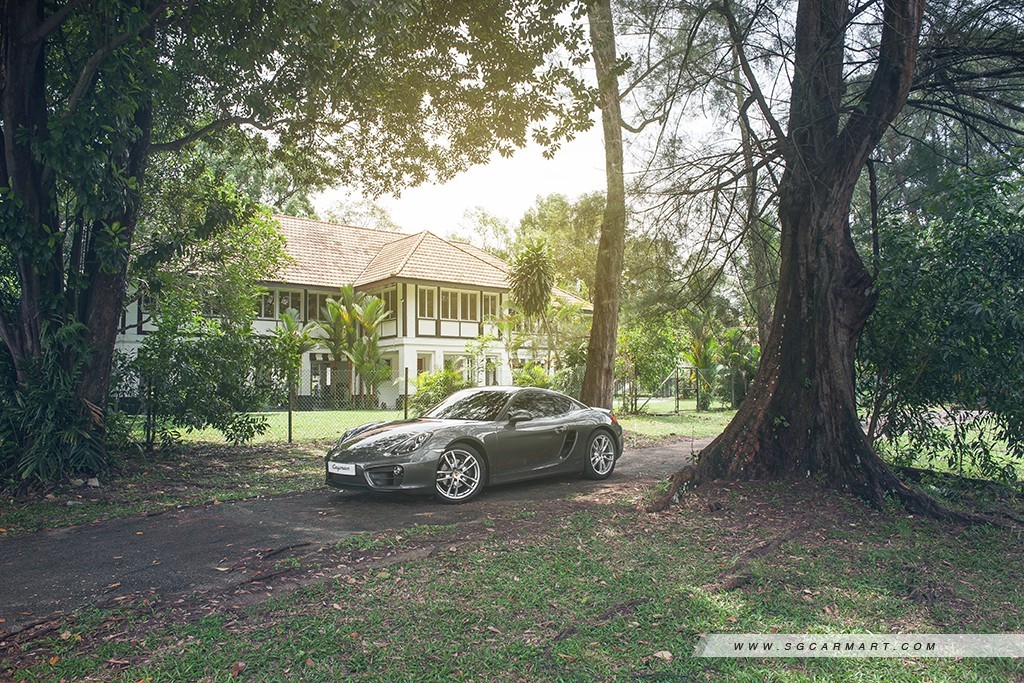 Gallery image 7