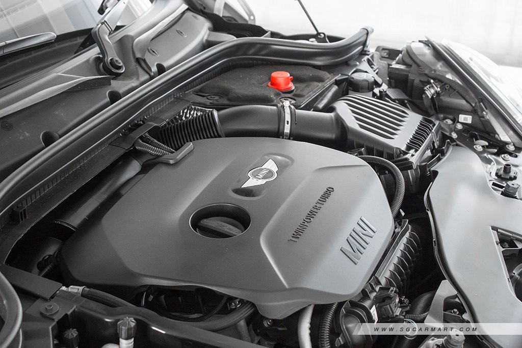 Gallery image 19