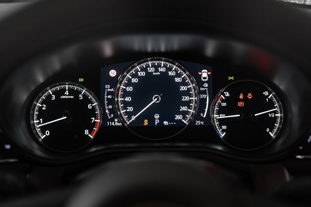 Gallery image 16