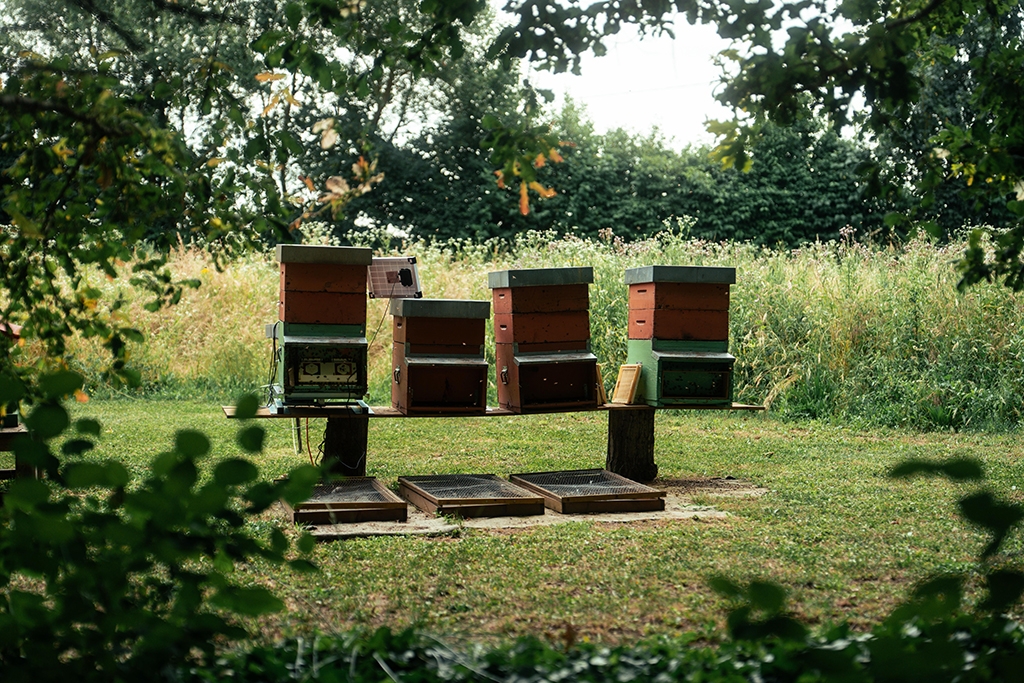 Gallery image 5