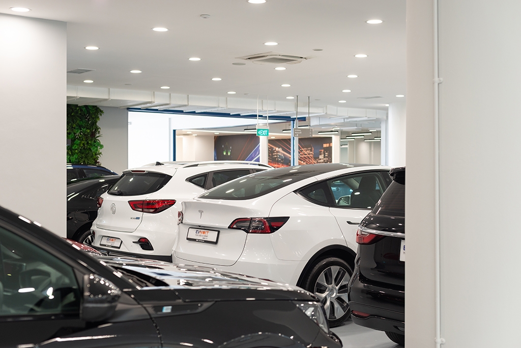 Gallery image 6