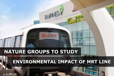 LTA holds environment study until nature groups finish primary investigations