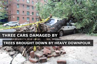 Fallen branches and uprooted trees block traffic cause damage to three cars