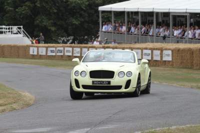 This year's Goodwood festival will see more than 75 new cars gracing the event