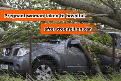 Pregnant woman taken to hospital after tree fell on car