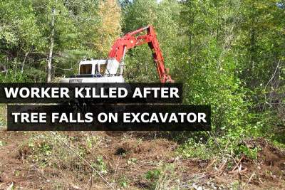 Worker killed while clearing tree at future Caldecott MRT interchange site
