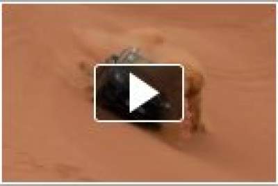 Porsche brings its all new Macan SUV surfing in the desert