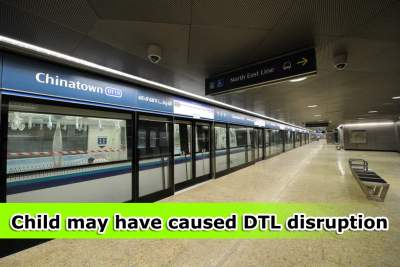 DTL disruption may be caused by detrainment door device