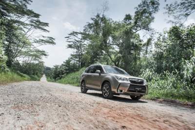 IIHS rating awarded to Forester, Legacy and Outback