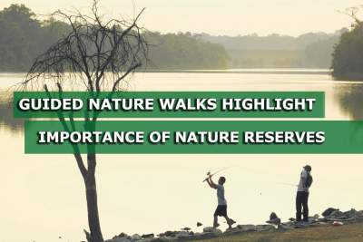 Guided walks raise profile of nature reserves ahead of MRT construction