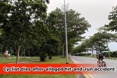 Cyclist dies after alleged hit-and-run accident
