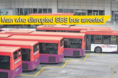 Man arrested after blocking and hitting SBS bus