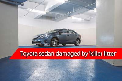 Toyota sedan in Yishun damaged by potted plant