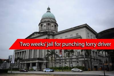Man jailed for two weeks for helping brother punch lorry driver