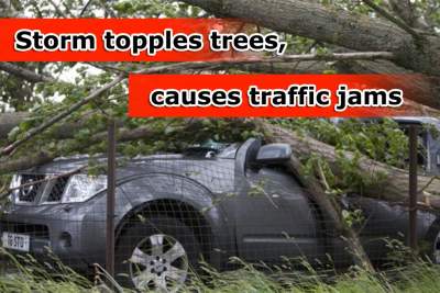 Traffic jams caused by fallen trees from storm