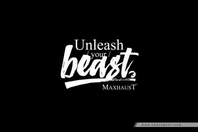 Let your car roar without flouting any LTA regulations with Maxhaust