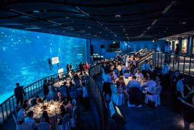 Unique dining experience for Audi customers with myAudiworld