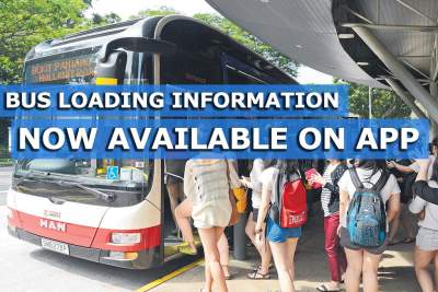 LTA launches new app function to tell commuters if bus is packed