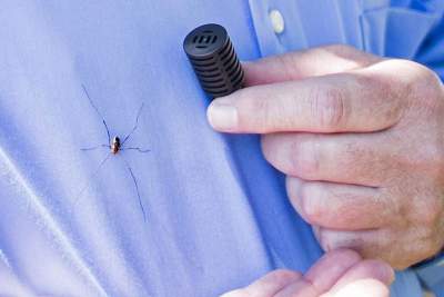 Ford developes an innovative spider screen to keep creepy crawlies out
