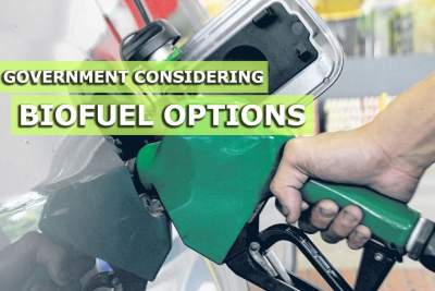 Authorities considering use of plant-based fuels