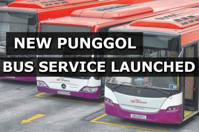Launch of new bus service in Punggol