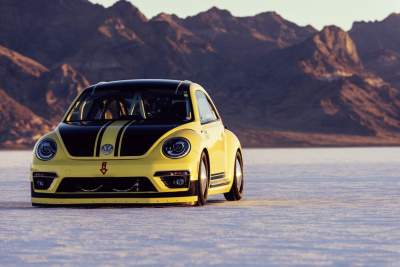 World's fastest Beetle