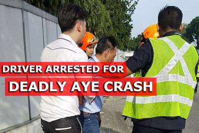 Driver arrested after deadly mayhem on AYE