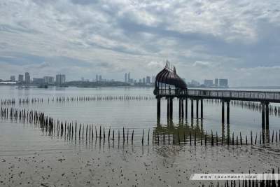 Escape the hustle and bustle at these 5 locations in Singapore