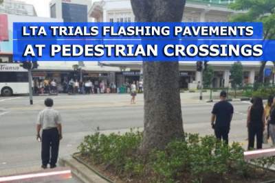 LTA trials flashing pavements at pedestrian crossings