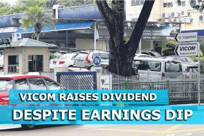 Vicom raises dividend despite earnings dip