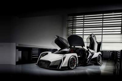 Vanda Dendrobium electric supercar showcase