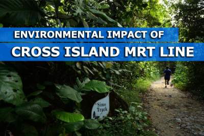 LTA will release findings on how Cross Island MRT affects wildlife