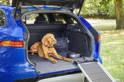 Jaguar launches new range of pet products in time for Christmas
