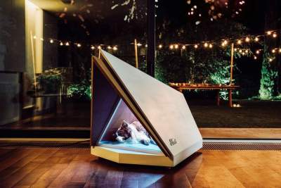 Ford develops noise-cancelling kennel for dogs