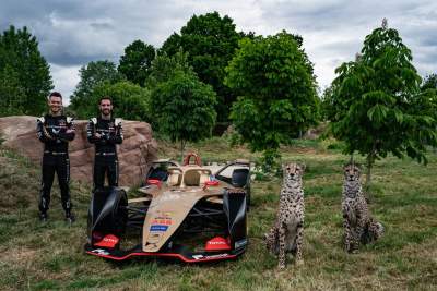 DS Techeetah drivers meet real cheetahs