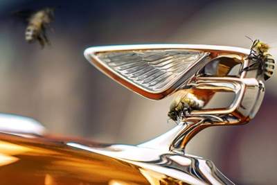 Introducing Bentley's new Flying Bees