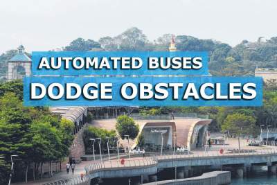 Automated buses dodge peacocks, tourists and plants in Singapore test