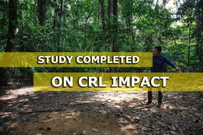 LTA: feasible for Cross Island Line to cut through or go around natural reserve
