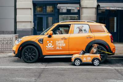 MINI U.S.A supports pup-up event in New York City