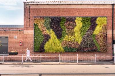 Bentley installs living green wall at Crewe
