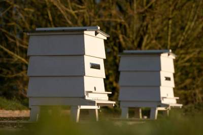 Rolls-Royce is recruiting volunteer beekeepers