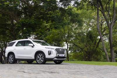 Hyundai Palisade flagship SUV arrives in Singapore