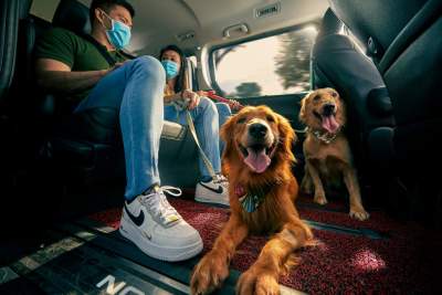 Big dogs allowed! Grab expands suite of premium transport offerings with GrabPet XL and GrabCar Exec