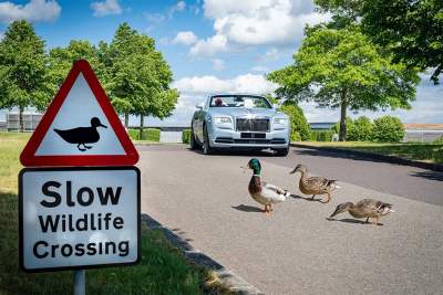 Rolls-Royce enlists the help of children in attaining sustainability with its Wildlife Garden Competition