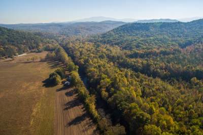 Volkswagen of America complete effort to protect Cherokee National Forest