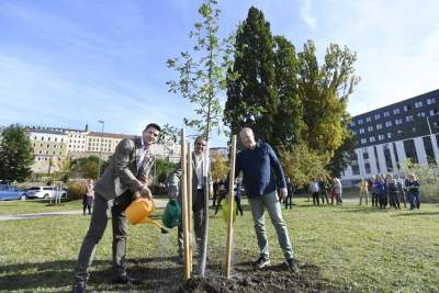 Skoda plants its one millionth tree