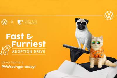 Join the VW Fast and Furriest adoption drive on 8 October
