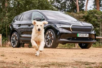 Skoda U.K. publishes advice to keep your dogs cool